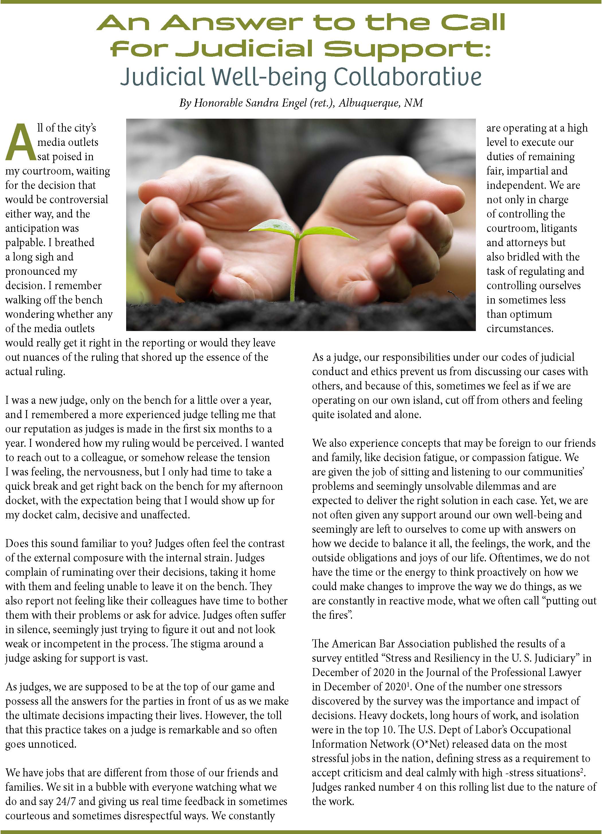 Judicial Support Article Preview